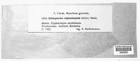 Image Associated With the Occurence